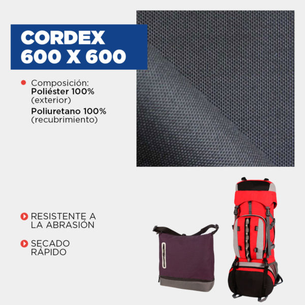 Cordex 600x600