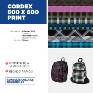 Cordex 600x600 print